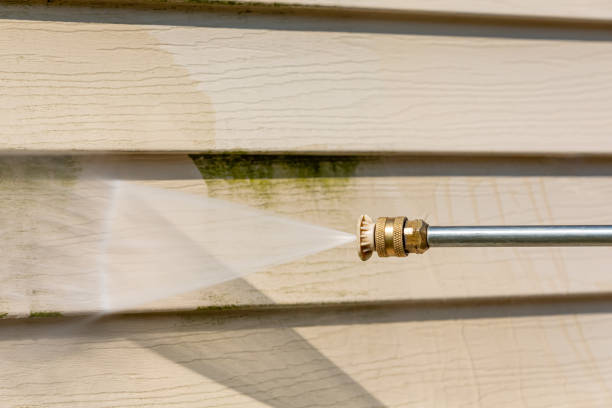 Best Deck Pressure Washing  in Crescent City, FL